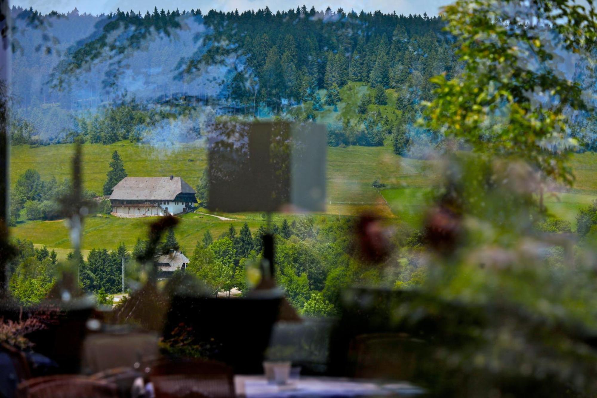 Parkhotel Flora Am Schluchsee Kültér fotó