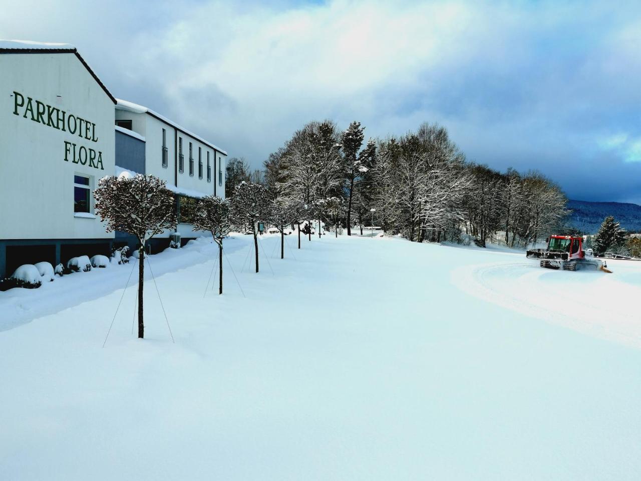 Parkhotel Flora Am Schluchsee Kültér fotó